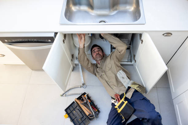 Best Best Plumbers Near Me  in Dillingham, AK