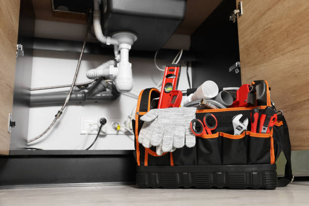 Best Clogged Drain Plumber  in Dillingham, AK