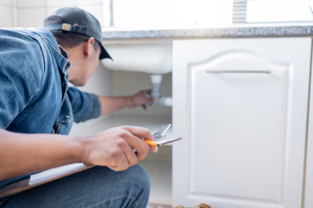 Best Affordable Plumbing Services  in Dillingham, AK