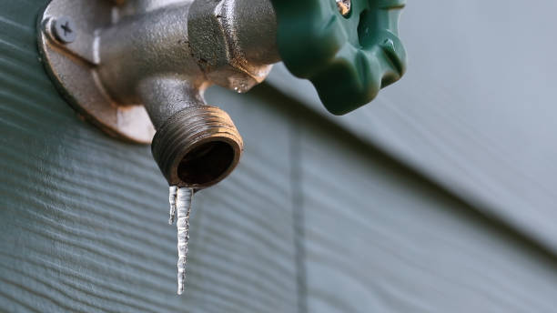 Best Local Plumber Services  in Dillingham, AK