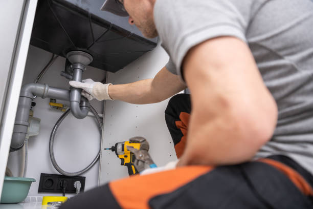 Best Affordable Plumbing Services  in Dillingham, AK
