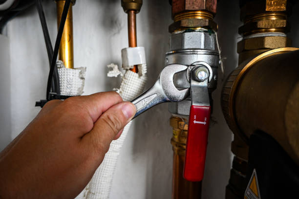 Best Residential Plumbing Services  in Dillingham, AK